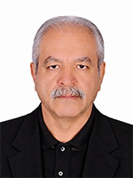 سید محمدعسگری - عضو هیئت مدیره