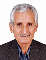 مهندس محمد مهدی شریف موسوی - عضو هیئت مدیره